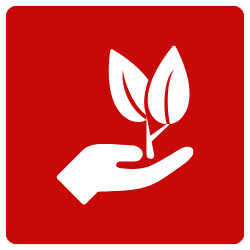 red square with white hand holding a short branch with two leaves