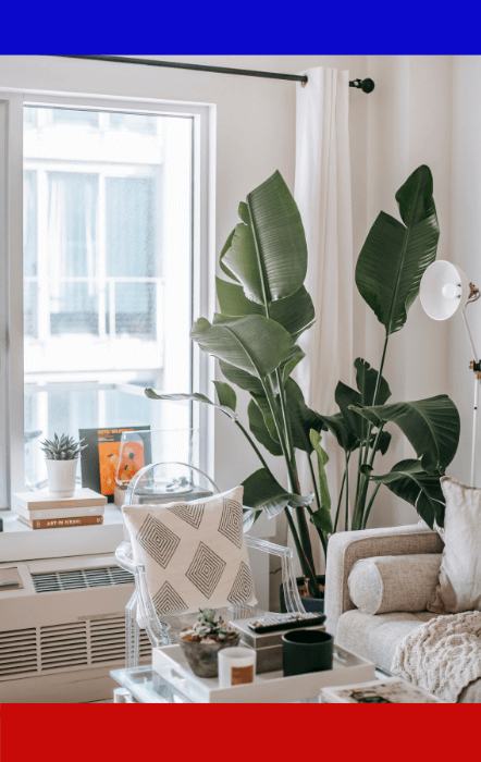 Clean living room with air purifier