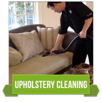 Dynamic Carpet Care Upholstery Cleaning